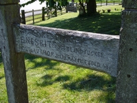 St.Mary in the Marsh